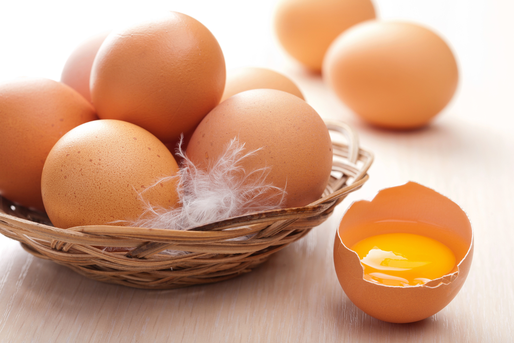 Продукт всіх континентів: огляд світового ринку курячих яєць